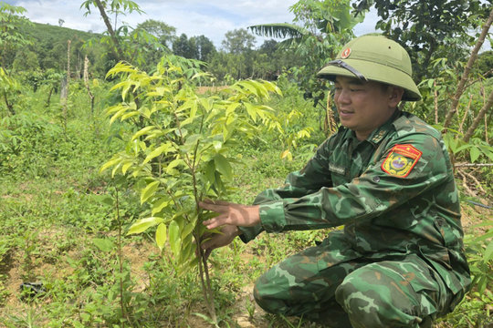 Hành trình từ hang đá đến làm giàu của tộc người dưới chân núi Ka Đay