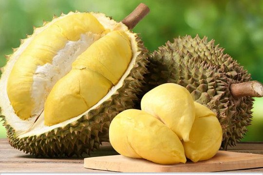 Kỷ lục chưa từng có: Rau quả Việt thu về gần 1,3 tỷ USD chỉ trong một tháng