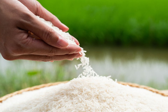 ‘Ngọc của trời’: Bước ngoạn mục từ bàn ăn thành 'kép' chính của đồ uống