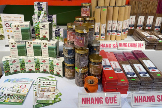'Vào OCOP', sản phẩm tăng hơn 12% giá bán, doanh nghiệp tăng gần 18% doanh thu