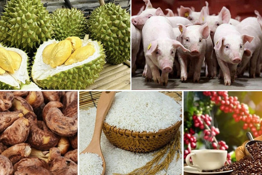 Thị trường nông sản hôm nay: Cà phê, tiêu 'ngược dòng' thế giới, sầu riêng tiếp đà khởi sắc, gạo vững giá xuất khẩu
