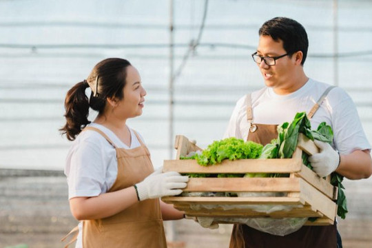 Đào tạo nông dân chuyên nghiệp - bước ngoặt trong chiến lược khuyến nông đến 2050
