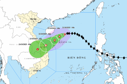 Bão số 12 áp sát đặc khu Hoàng Sa, Trung Bộ đối diện mưa lớn diện rộng, có nơi đến 900 mm