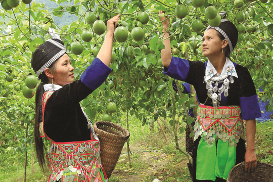 Thống nhất tích hợp 3 Chương trình mục tiêu quốc gia