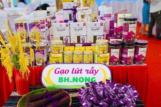 ‘Bỏ quên’ sở hữu trí tuệ, HTX OCOP đứng trước nguy cơ mất trắng bí quyết bản địa