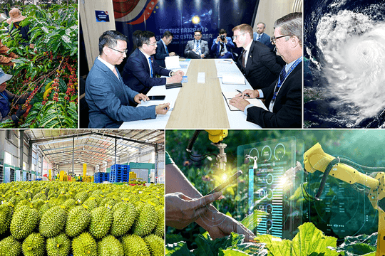 Nông nghiệp thế giới tuần qua: Nông sản tăng giá, công nghệ AI và chỉnh sửa gen dẫn dắt xu hướng mới