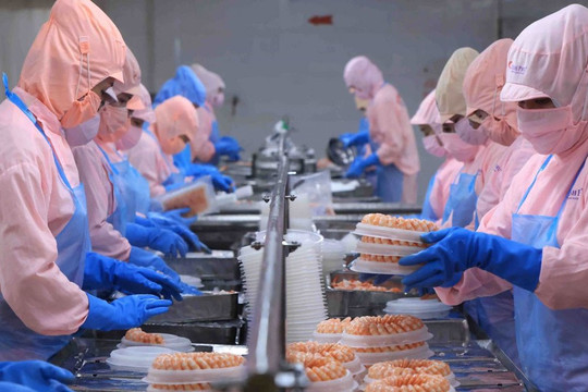 Nâng cao năng lực cạnh tranh của thủy sản Việt Nam: Giá trị sản phẩm là 'vũ khí' ưu tiên