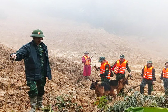 Lời của núi nứt