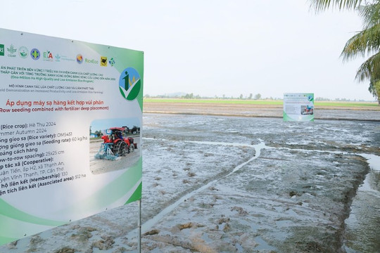 Cánh đồng 'carbon thấp': 70.000 tấn gạo Việt Nam Xanh xác lập tiêu chuẩn mới