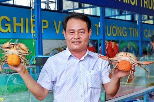 Ngày hội Cua Cà Mau lần đầu tổ chức tại TP.HCM