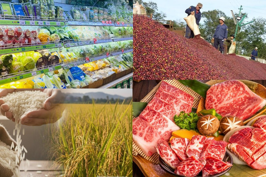 Thị trường nông sản hôm nay:
Rau xanh tăng giá 'phi mã', cà phê vượt mốc 114.000đ/kg