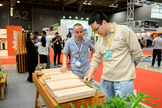 Canadian Wood giới thiệu giải pháp gỗ mềm bền vững tại VietnamWood 2025
