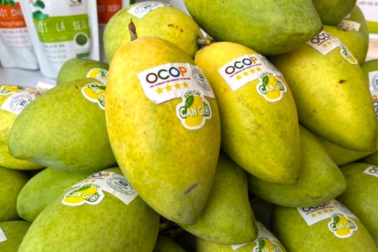 OCOP TP.HCM: Từ nông sản đô thị tới quà tặng ngoại giao