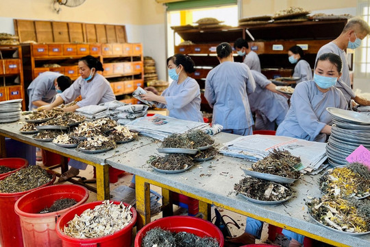 Khai thác kho tàng Y học cổ truyền: Di sản Hoàng Nguyên Cát và Ngự dược Triều Nguyễn
