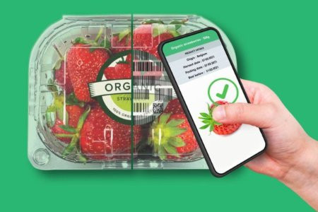 Giải pháp cốt lõi cho trái cây Việt xuất khẩu: Cạnh tranh bằng công nghệ bao bì thông minh, bền vững