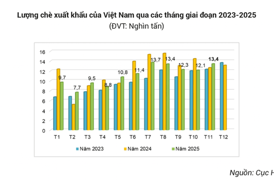 Xuất khẩu chè tìm thấy 'cửa sáng' sau chuỗi giảm sâu