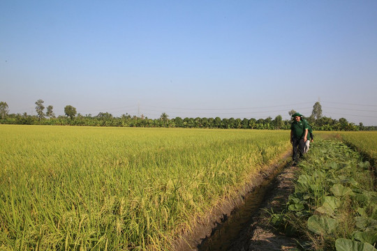 Nông nghiệp xanh, tuần hoàn - qua rồi thời thử nghiệm