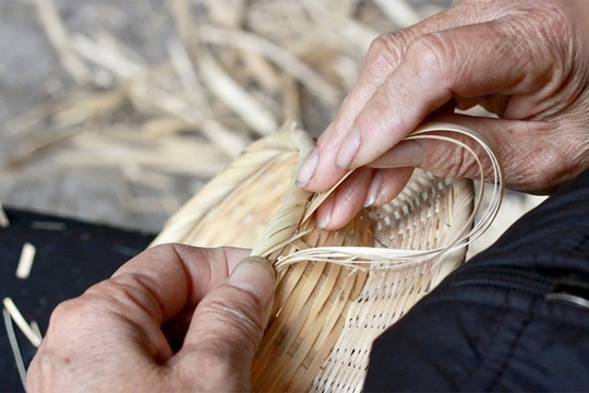Tiếng cưa lạc lõng