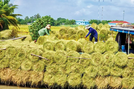 ĐBSCL: Từ 'mỏ vàng' phụ phẩm đến khát vọng trung hòa carbon