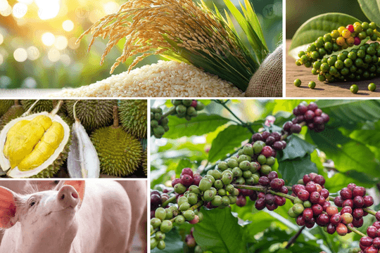 Thị trường hôm nay 28/1: Giá cà phê, hồ tiêu tăng mạnh, heo hơi lập đỉnh mới