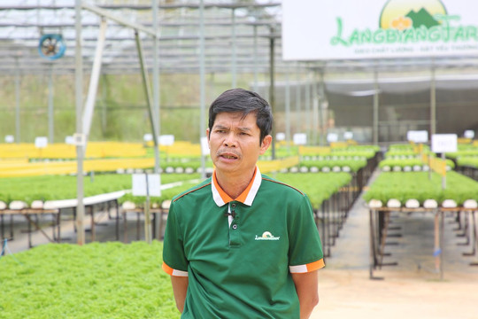 Ông chủ LangBiang Farm và câu chuyện 'thuộc về nơi khác'