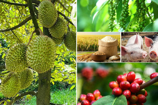 Thị trường hôm nay 8/2: Áp lực nguồn cung, giá cà phê và hồ tiêu chìm trong sắc đỏ