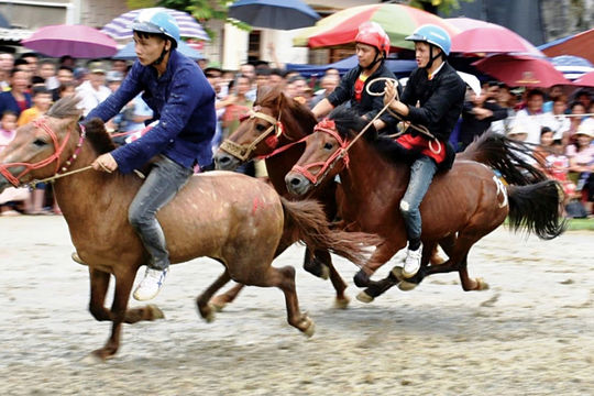Vó ngựa trên cao nguyên đá