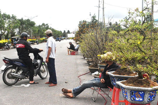 Đà Nẵng: Bỏ 30 triệu đưa hoa ra phố, người bán thấp thỏm đợi khách