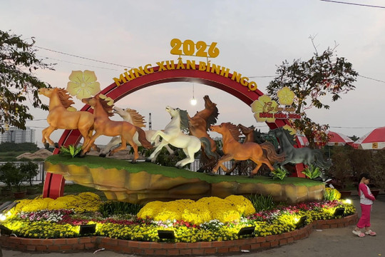 Khám phá Chợ hoa Xuân Bình Điền 2026