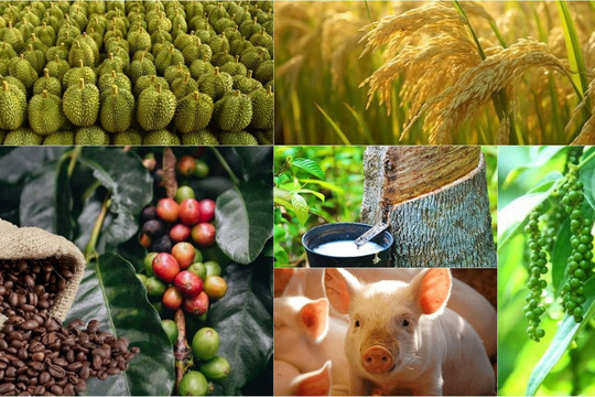 Thị trường hôm nay 25/2: Sầu riêng, hồ tiêu bứt phá, cà phê chìm trong sắc đỏ