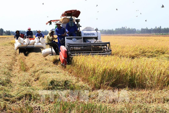 Nông nghiệp và ‘phép thử’ trước cú sốc năng lượng Trung Đông