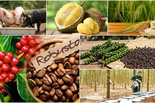 Thị trường hôm nay 7/3: Cà phê và hồ tiêu neo cao, người nuôi heo chật vật giữ giá