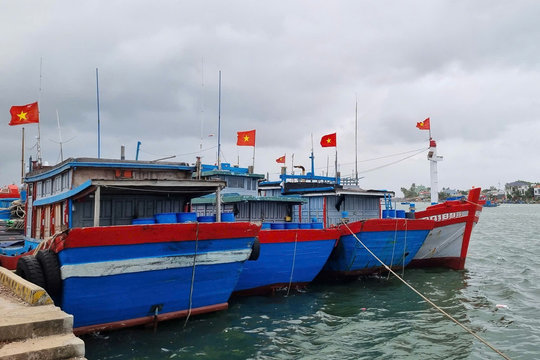 ‘Bão’ dầu, ngư dân đuối sức trên ngư trường nhà