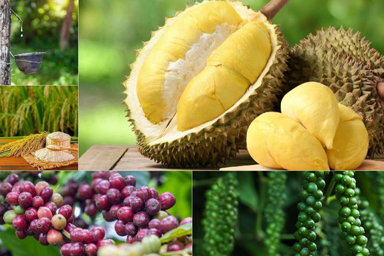 Thị trường hôm nay 11/3: Sầu riêng lập mặt bằng giá mới, heo hơi cùng hồ tiêu chững nhịp