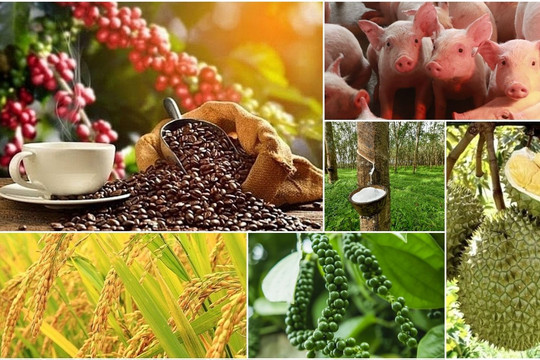 Thị trường nông sản 18/3: Cà phê và heo hơi đồng loạt tăng giá, hồ tiêu chìm trong sắc đỏ