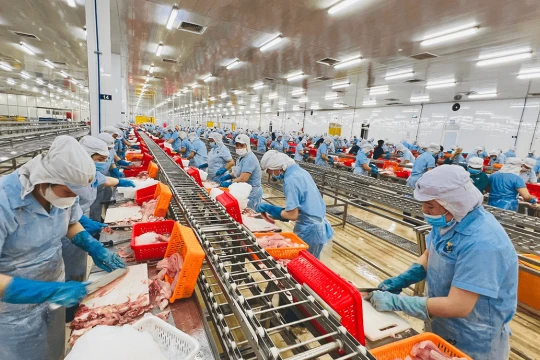 Thẻ vàng bao bì EU: Cơn lốc mới đe dọa túi tiền của đại gia thủy sản