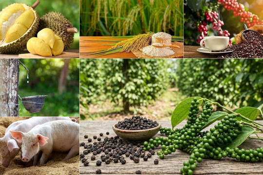 Thị trường nông sản 26/3: Hồ tiêu và cà phê đồng loạt tăng, sầu riêng quay đầu giảm
