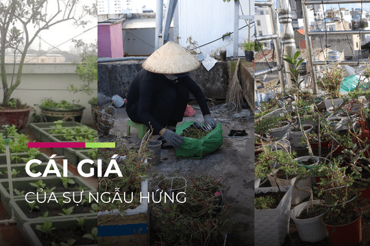 Bài 2: Cái giá của sự ngẫu hứng!