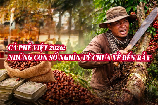 Cà phê Việt 2026: Những con số nghìn tỷ chưa về đến rẫy