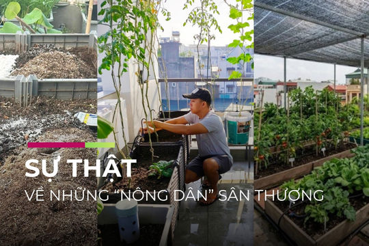Video | Bài 3: Chuyên gia giải bài toán tải trọng và chi phí làm vườn
