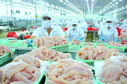 Cá tra Việt: Soán ngôi lươn nướng tại chuỗi nhà hàng khét tiếng khó tính Nhật Bản