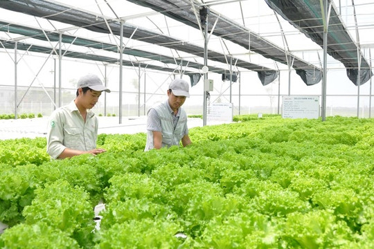 Sở Giao dịch hàng hóa tại VIFC: Từ… đánh cược với trời đến chủ động quyền định giá