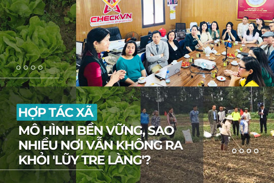 Video | Hợp tác xã: Mô hình bền vững, sao nhiều nơi vẫn không ra khỏi 'lũy tre làng'?