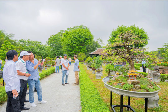 Kỳ hoa dị thảo ba miền hội tụ nơi Hoàng cung Huế