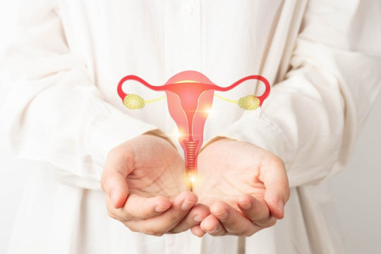 7 Thiên quý và cột mốc an vui của nữ giới