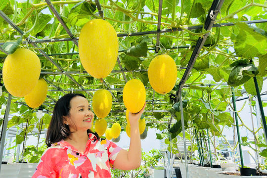 Cô chủ shop chợ An Đông ‘vác’ cả miền tây lên sân thượng