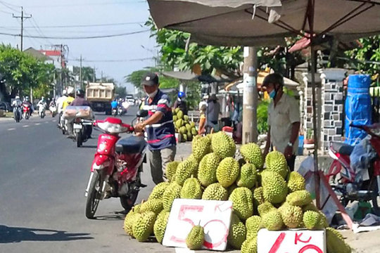 Nghịch lý Cadimi: Khi địa giới hành chính 'khai tử' nông sản