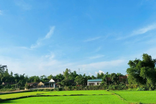 Gò Sành, những mảnh vỡ lưu lạc