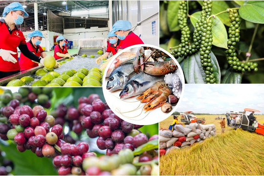 Nông lâm thủy sản Việt Nam trước ngưỡng cửa 74 tỷ USD: Vượt bão logistics, gỡ ‘nút thắt’ thể chế!