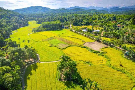 23,5 triệu thửa đất vào dữ liệu và cuộc thay đổi quyền lực ở nông thôn